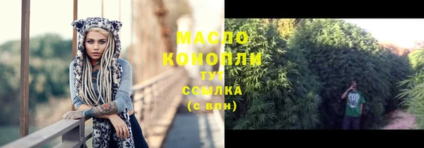 амф Бородино