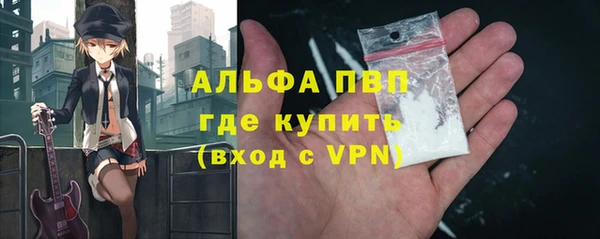 амф Бородино