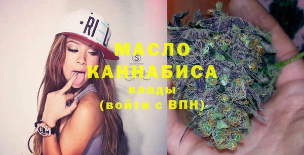 амф Бородино