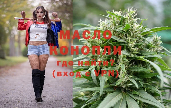 амф Бородино