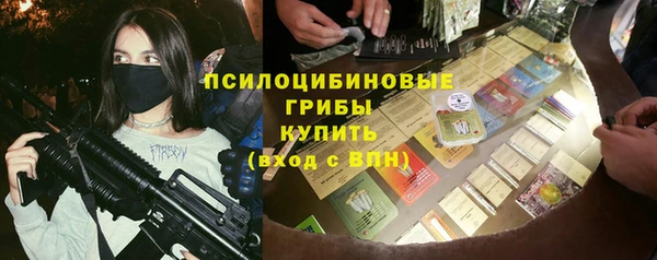 амф Бородино